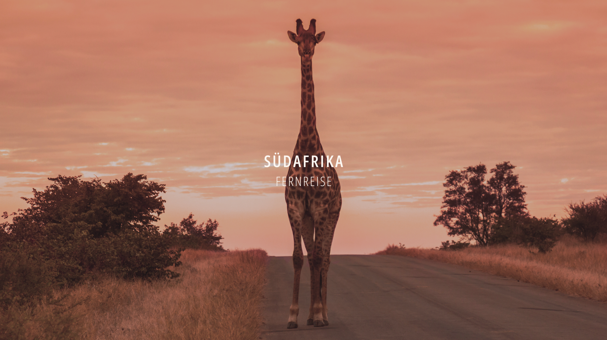 Südafrika erleben – Abenteuer, Strände und exotischer Bikini-Style mit unserer Pink Grapefruit und Apricot Sorbet Kollektion