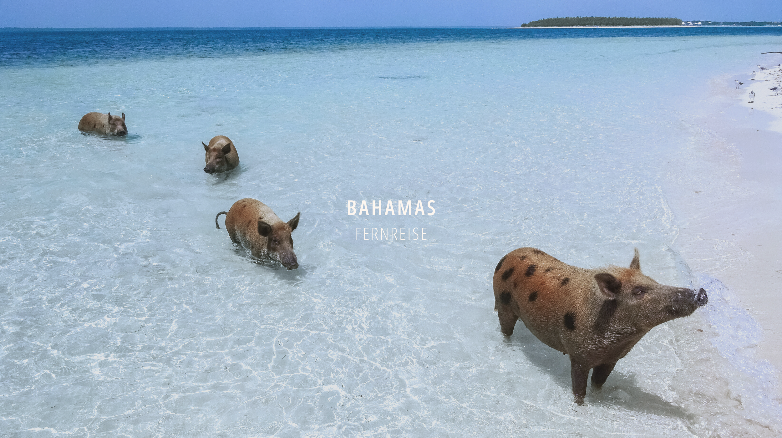 Die Bahamas erleben – Traumhafte Strände, faszinierende Abenteuer und Bikini-Style